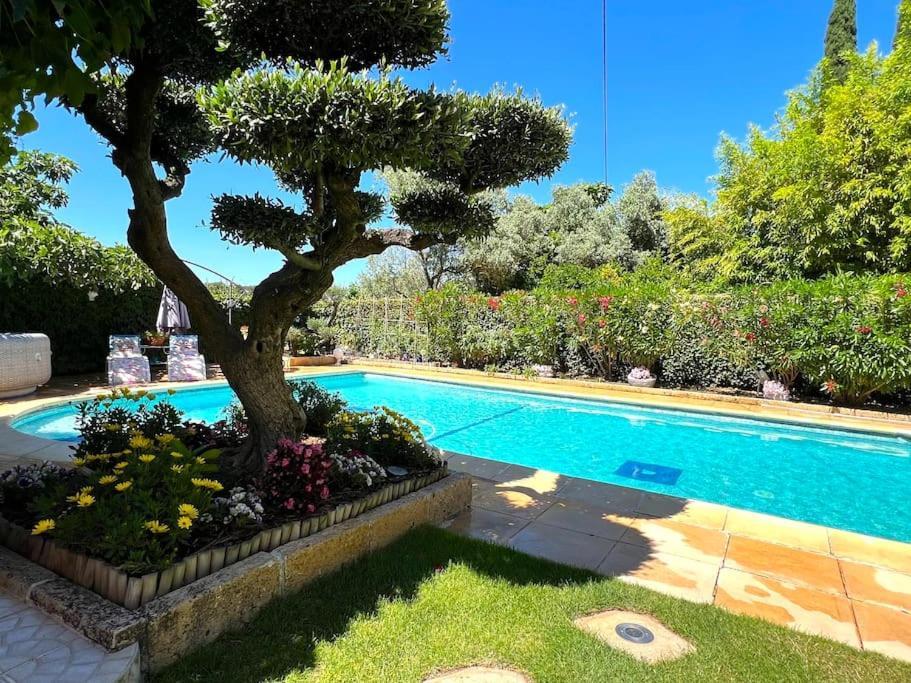Le Jardin De Mae Daire Bouc-Bel-Air Dış mekan fotoğraf